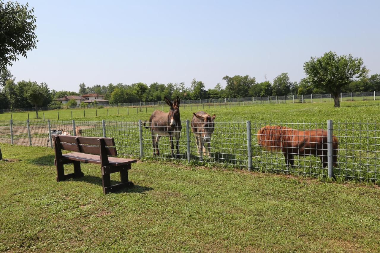 Azienda Agrituristica Ai Prai Castello Di Godego Eksteriør billede