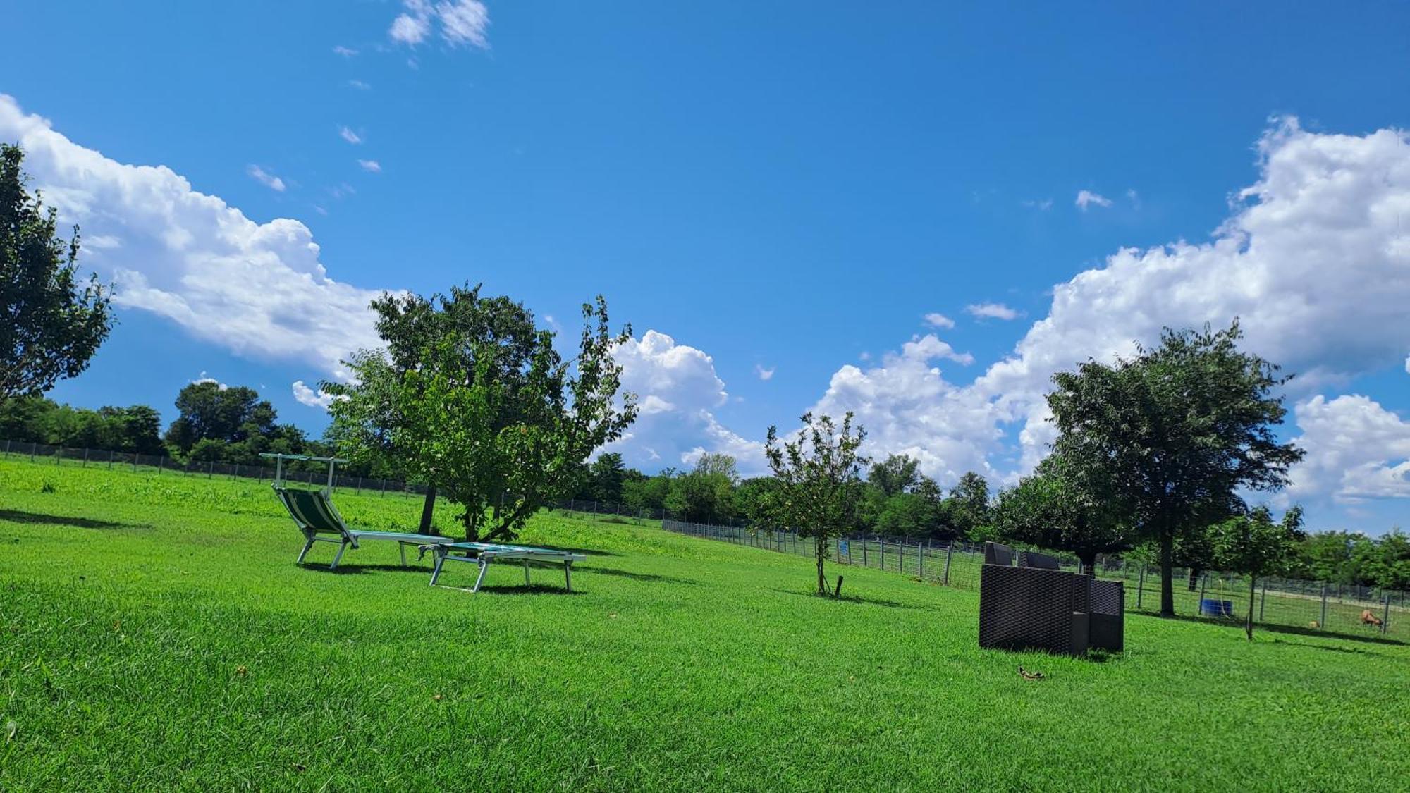 Azienda Agrituristica Ai Prai Castello Di Godego Eksteriør billede